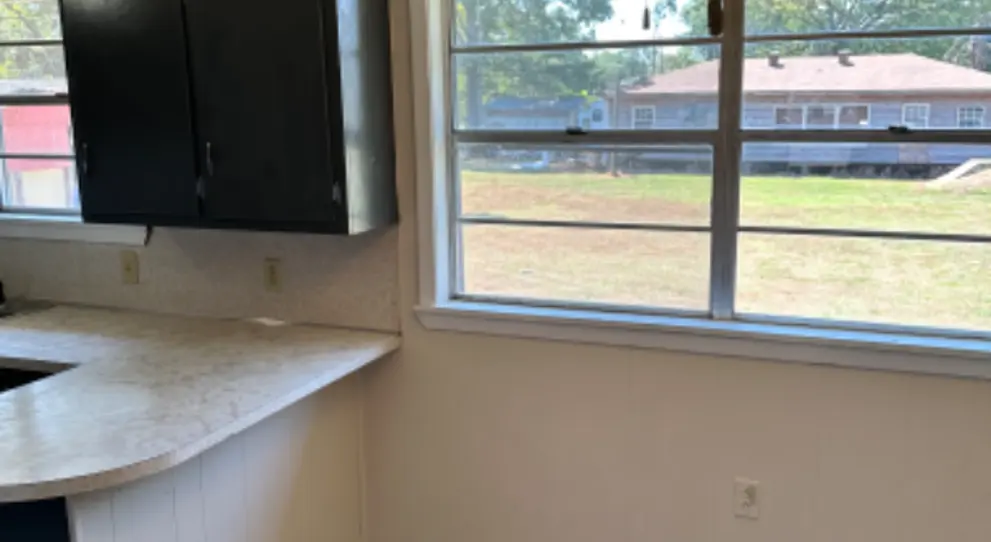 103 E Scott St kitchen window